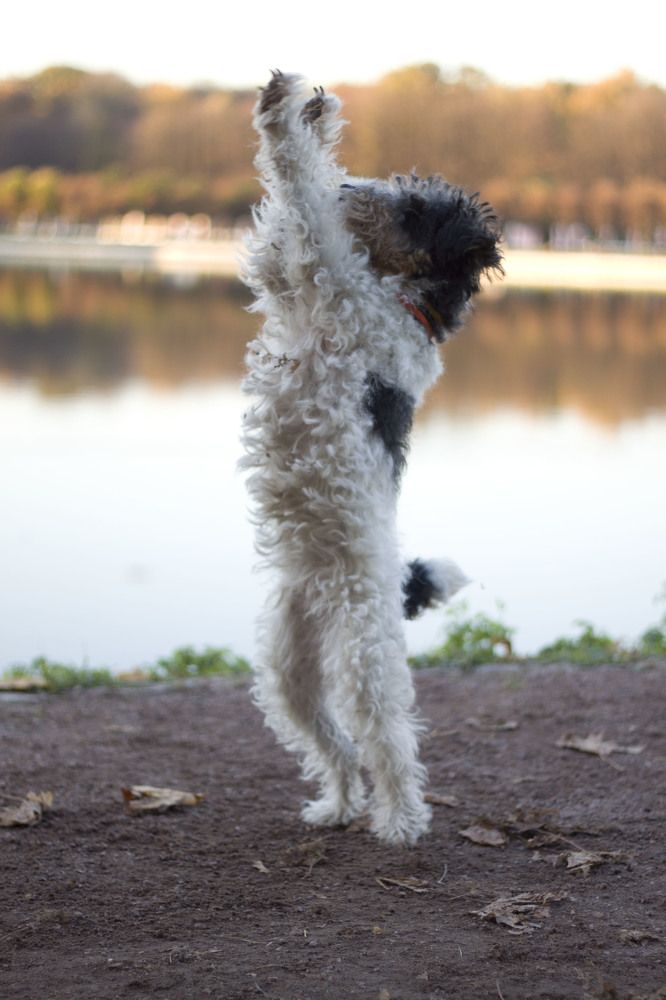 Photograph by Елена