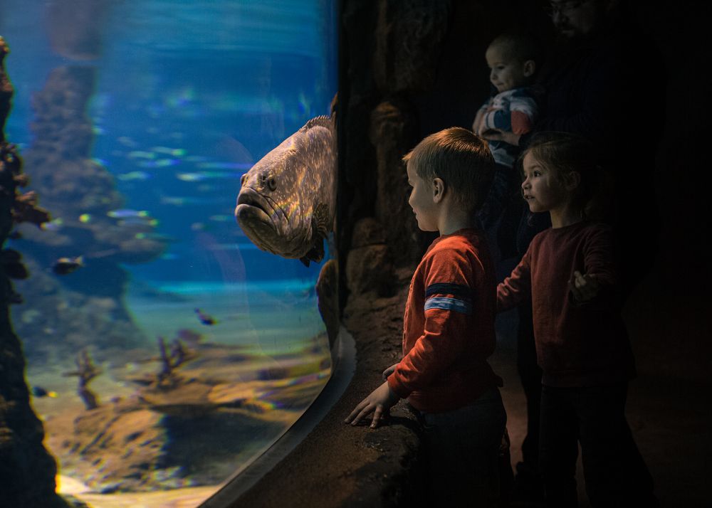 Photograph by Marta Kaczałek