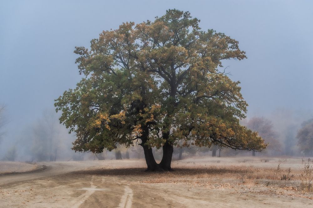 Photograph by Васильев Роман