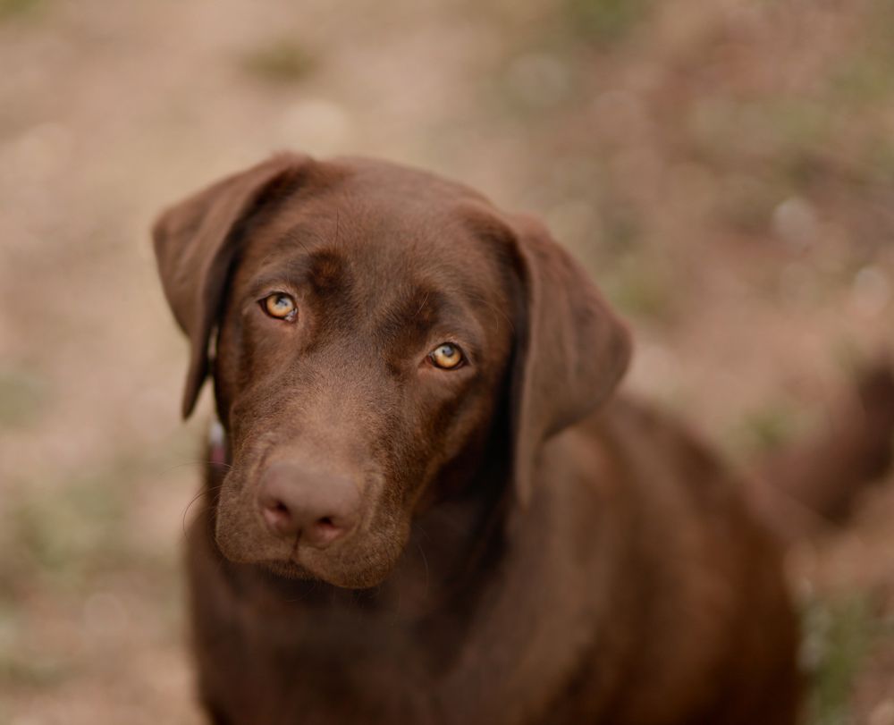 Photograph by Олеся Белецкая