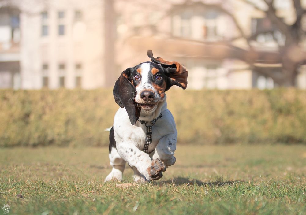 Photograph by Sadłakowska Karolina