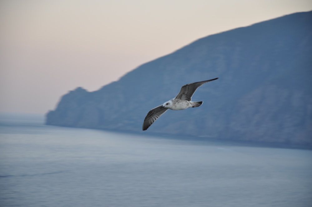 Photograph by Александр Кудрявцев