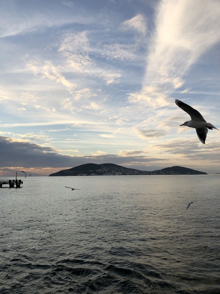 Photograph by Александр Кудрявцев