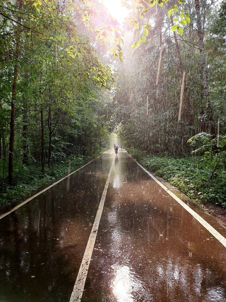 Photograph by Александр Кудрявцев