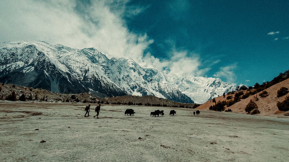 Фотография автора Ubaid Ullah Baig