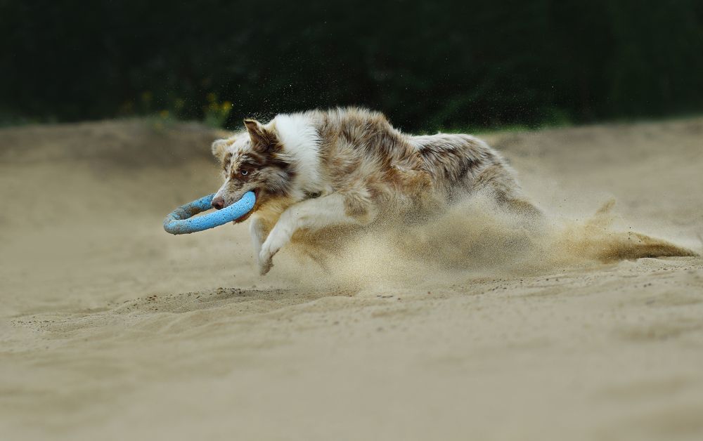 Photograph by Настасья Андреевна