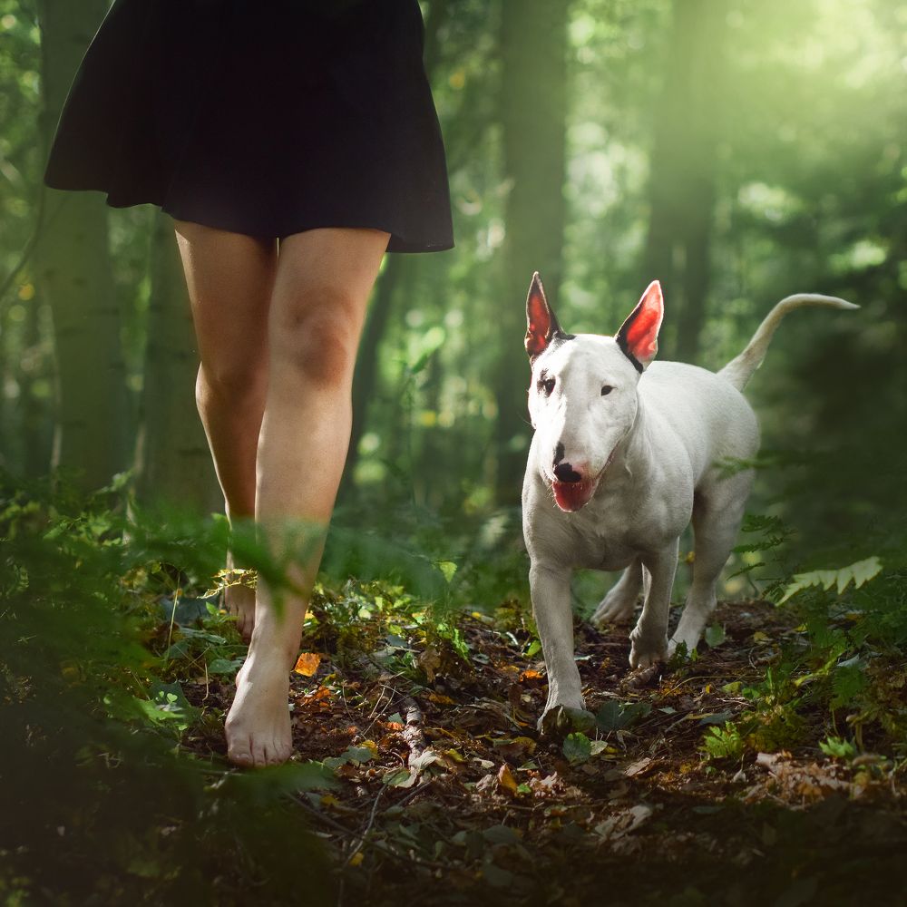 Photograph by Настасья Андреевна