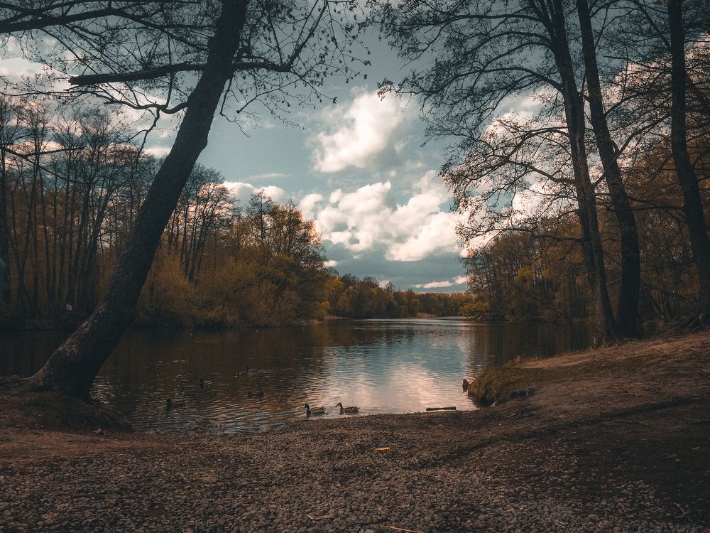 Photograph by Александр Авдеев