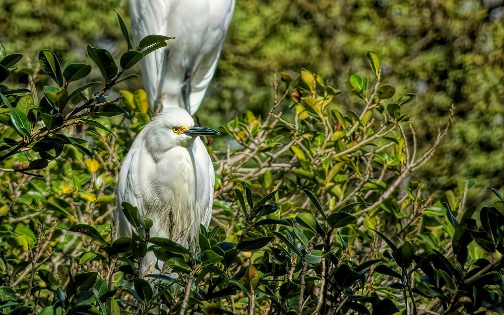 Photograph by Marcelo Luzzi