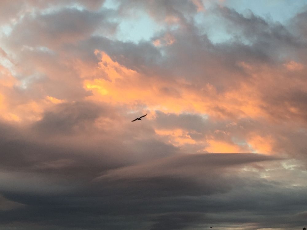 Photograph by Bekir Yesiltas