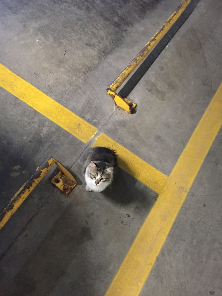 Photograph by Bekir Yesiltas