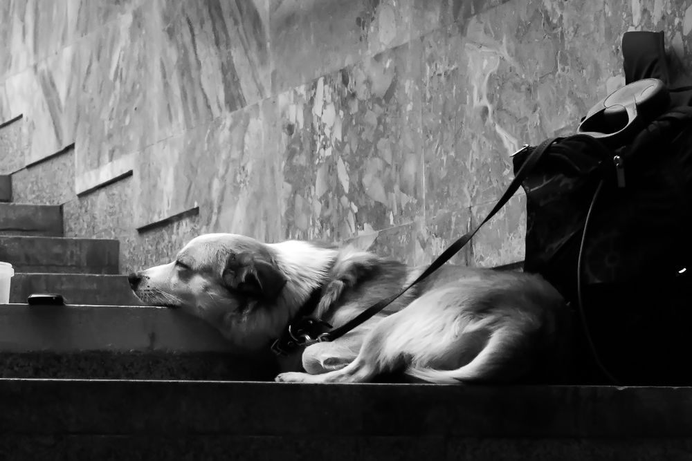 Фотография автора Валерий Невмержицкий