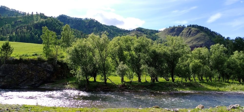 Photo #7512658