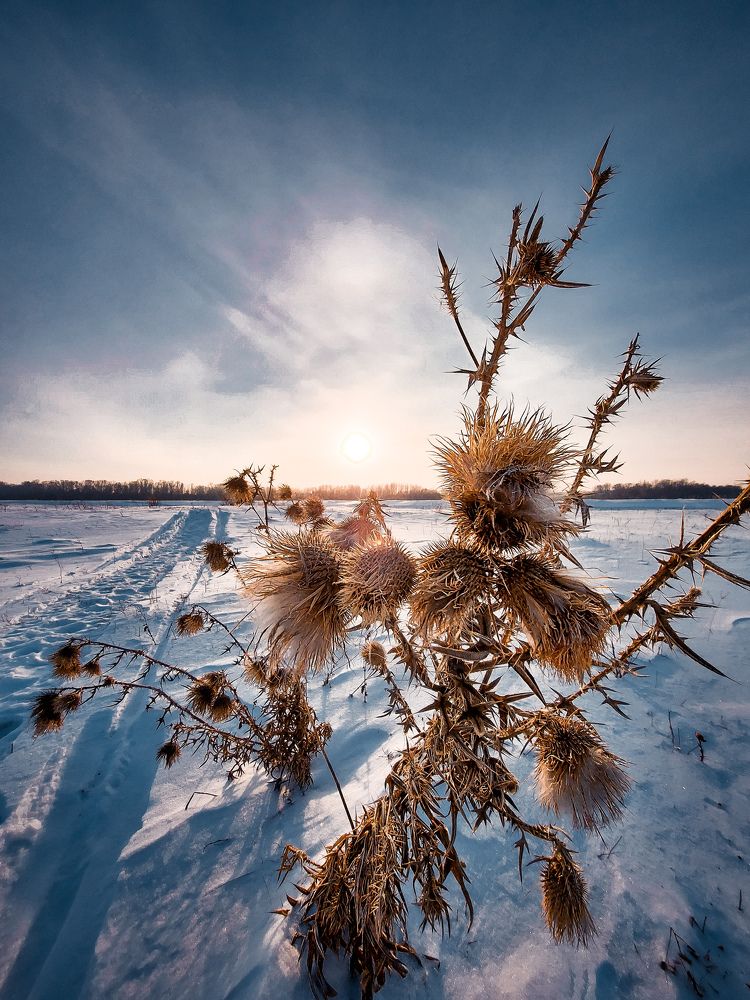 Photograph by Иван Паутов