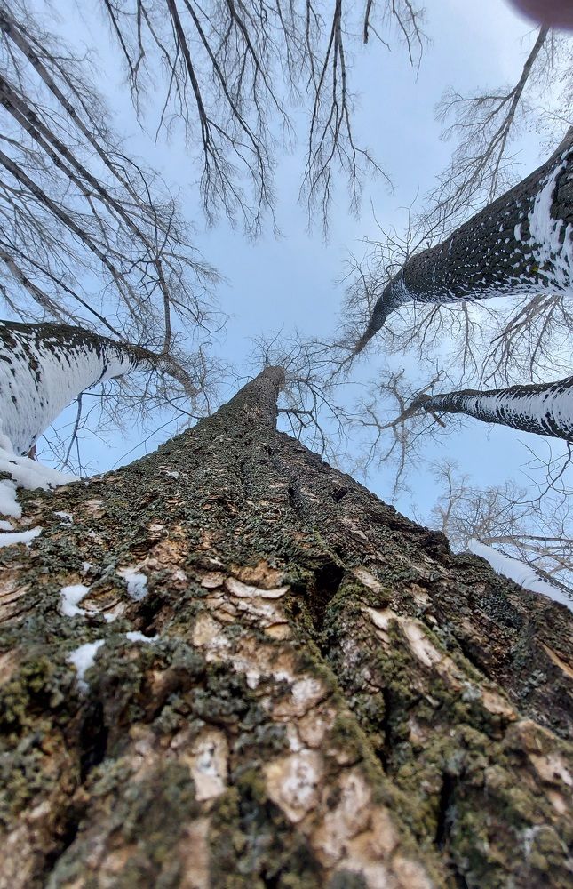 Photograph by Иван Паутов