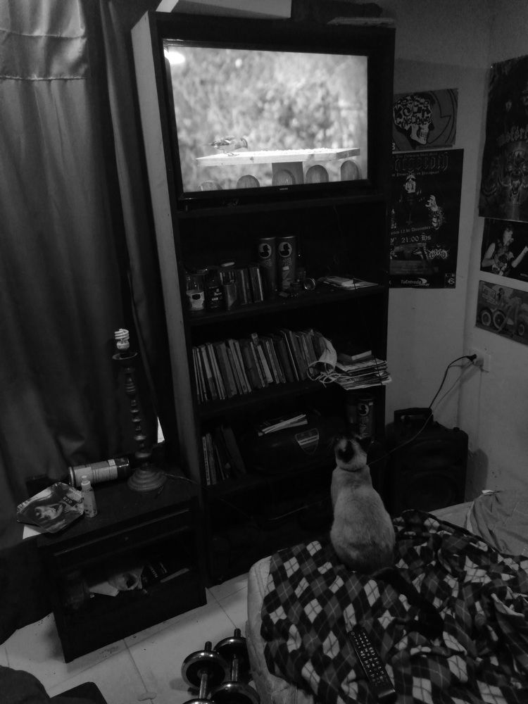 Photograph by Federico Fassardi