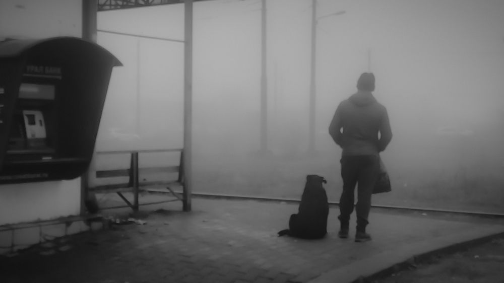 Photograph by Андрей Фадеев