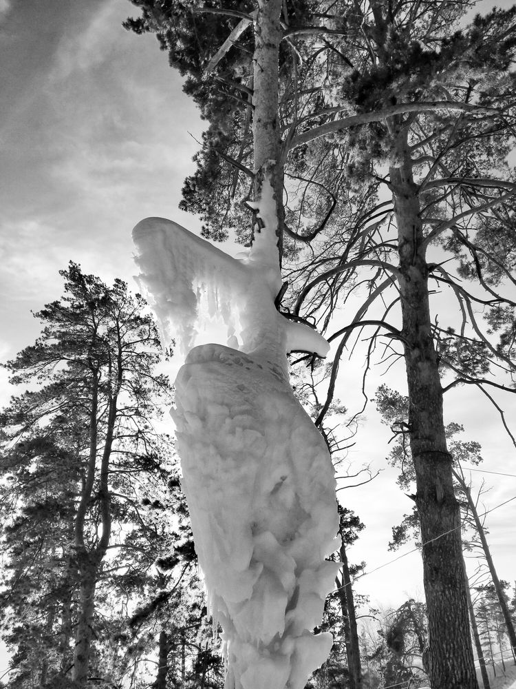 Photograph by Черный Михаил