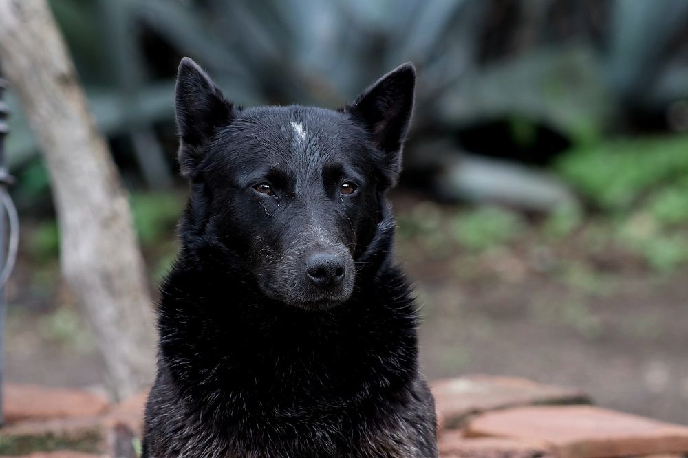 Photograph by Andrea Alcalá