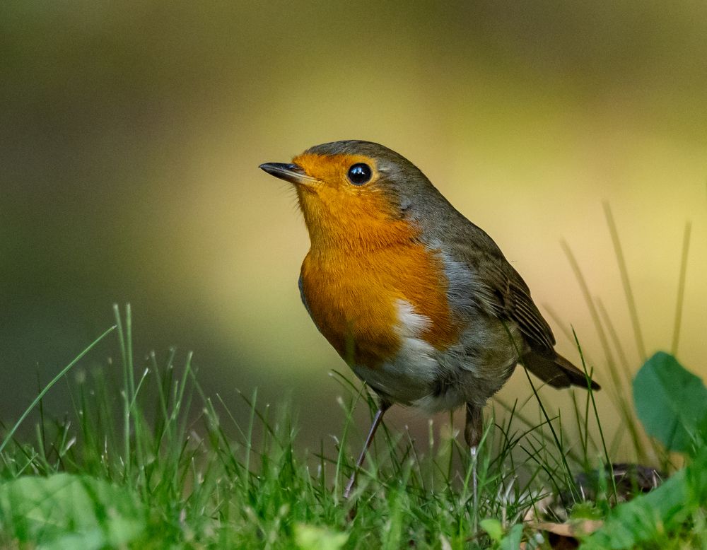 Photograph by Курлянцев Алексей