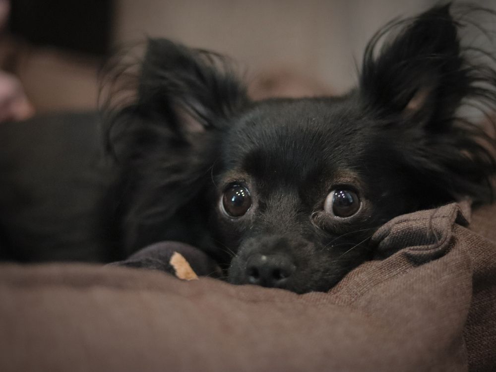 Photograph by Екатерина Слепнева