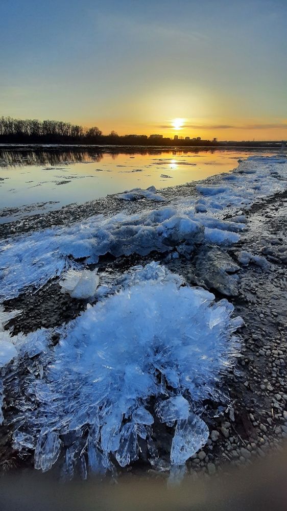Фотография автора Светлана Дубина