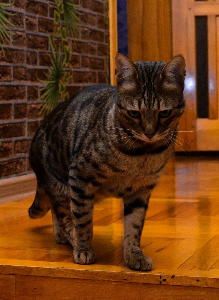 Photograph by Дарья Беляк