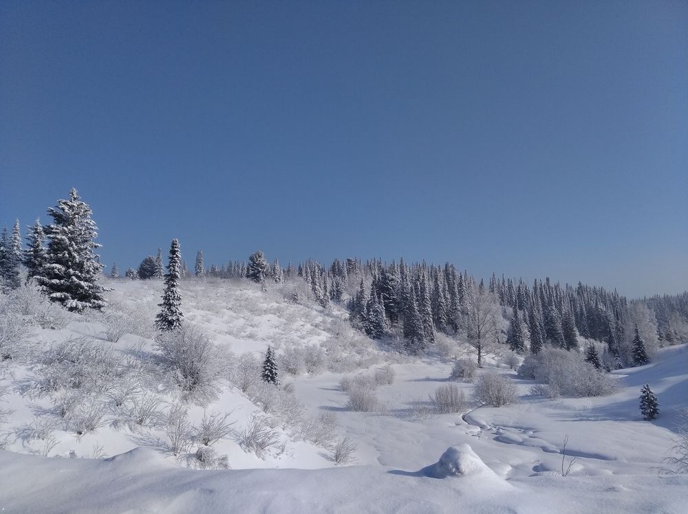 Белое очарование.