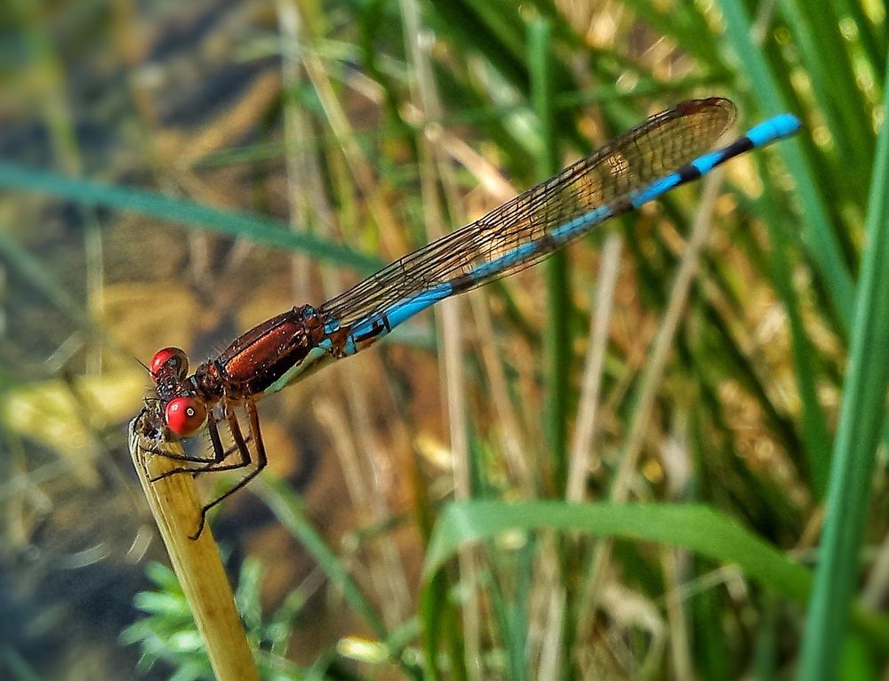 Photograph by Luis Fernando De Leo