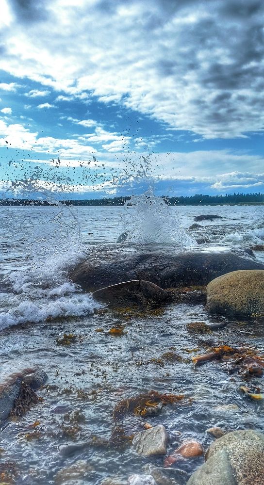 Фотография автора Алсуфьева Елена