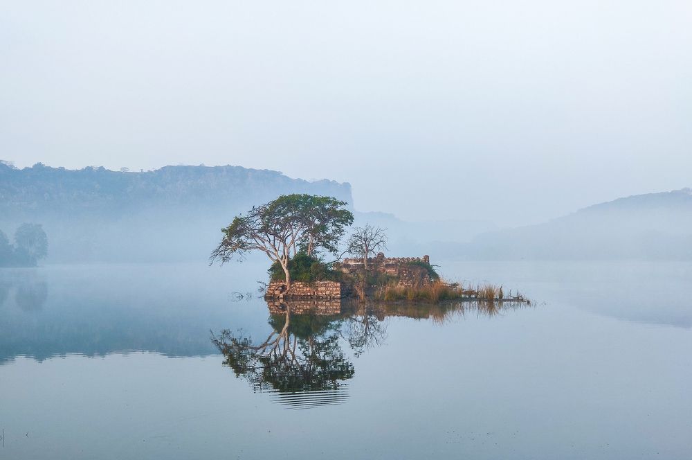 Photograph by Ayan Bhattacharya