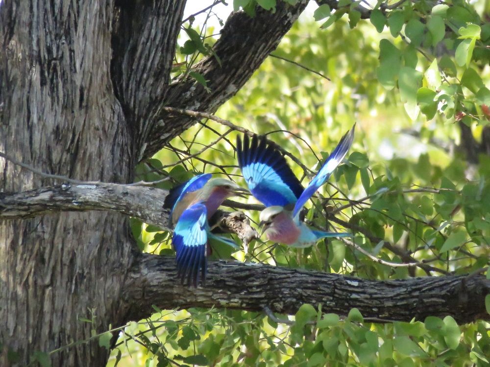 Photograph by Dylan Millson