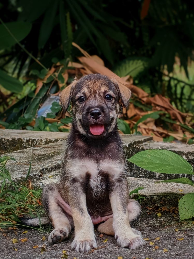 Photograph by Siti Nordiana