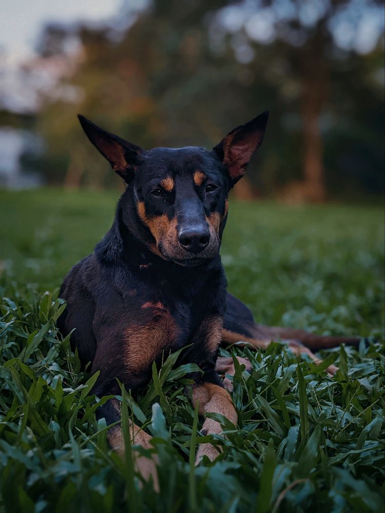 Photograph by Siti Nordiana