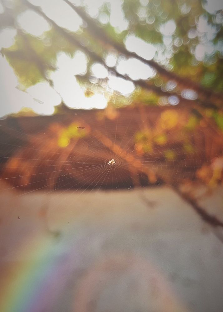 Photograph by Nitin Sidhpura
