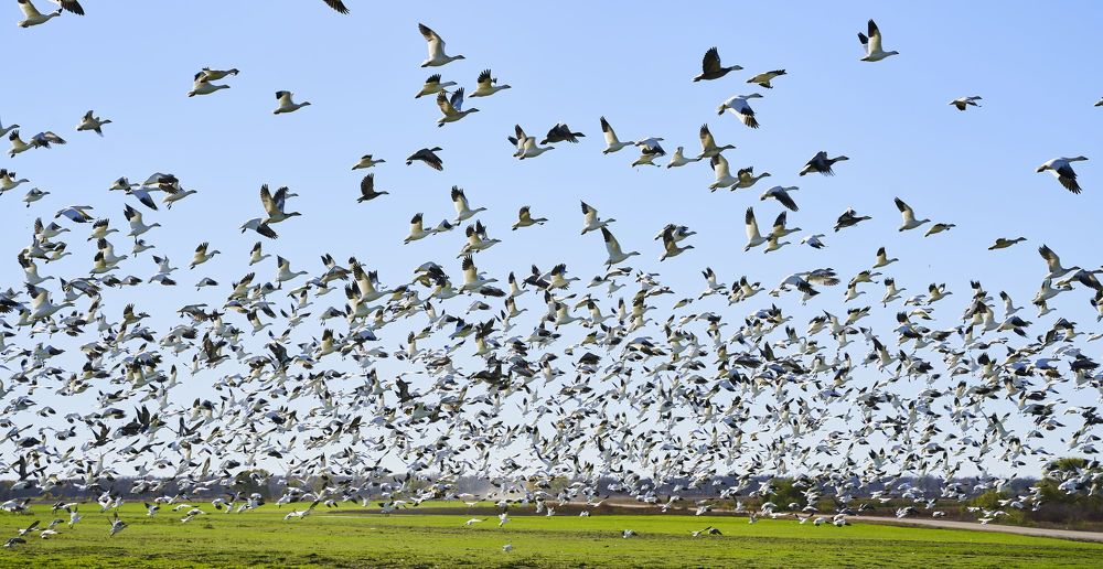 Photograph by Vaibhav Rege