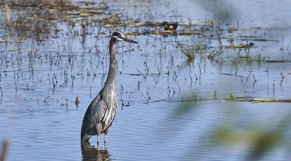 Photograph by Vaibhav Rege