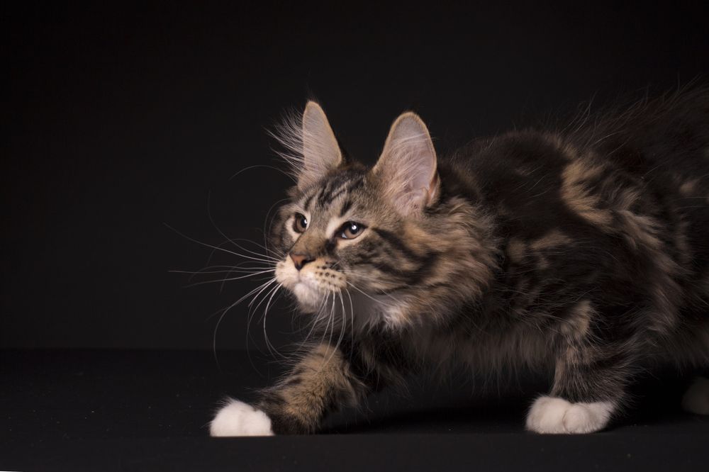 Photograph by Ирина Мамонова