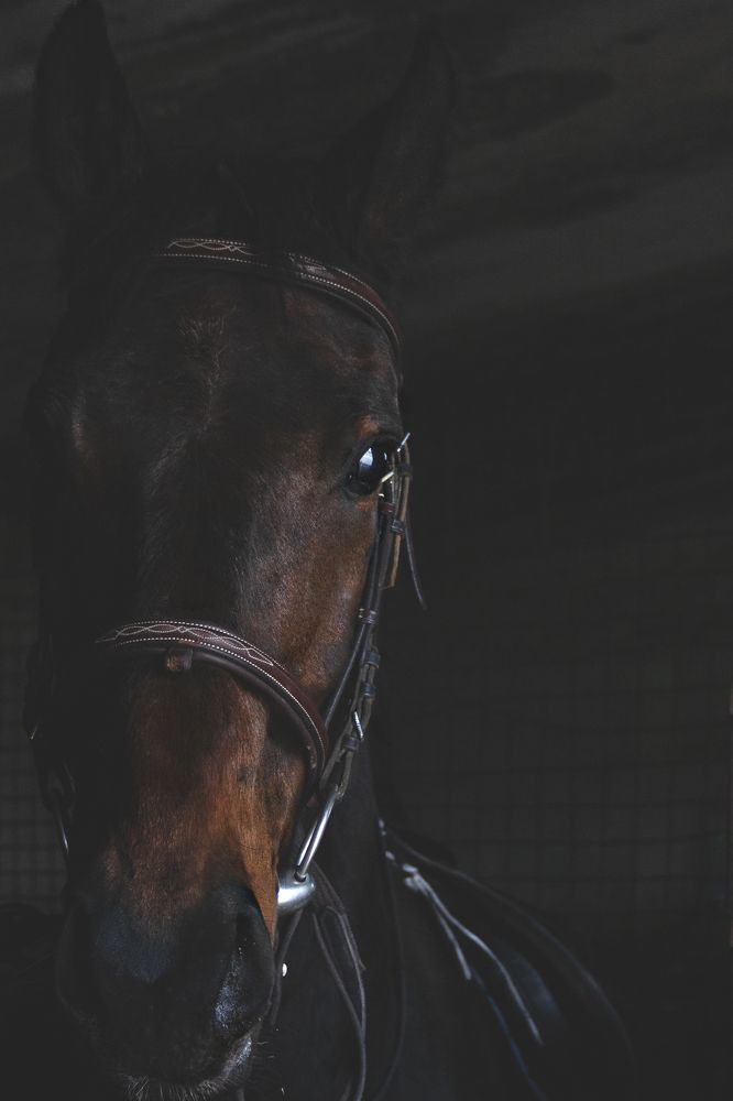 Photograph by Нелли