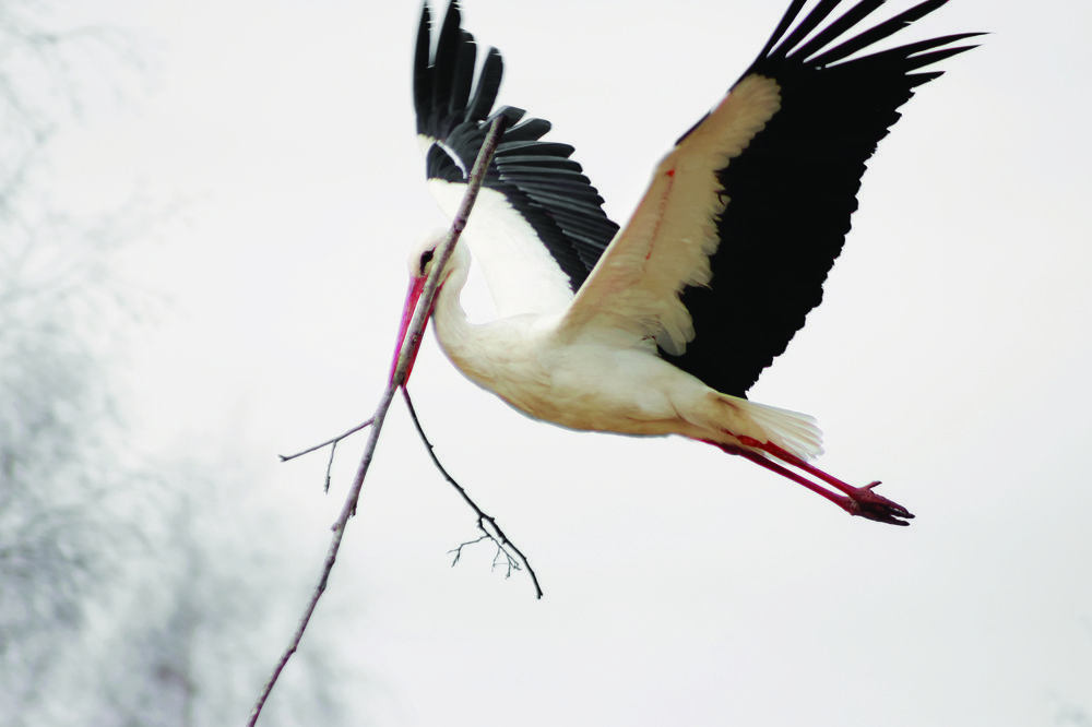 Фотография автора Julija Hisova