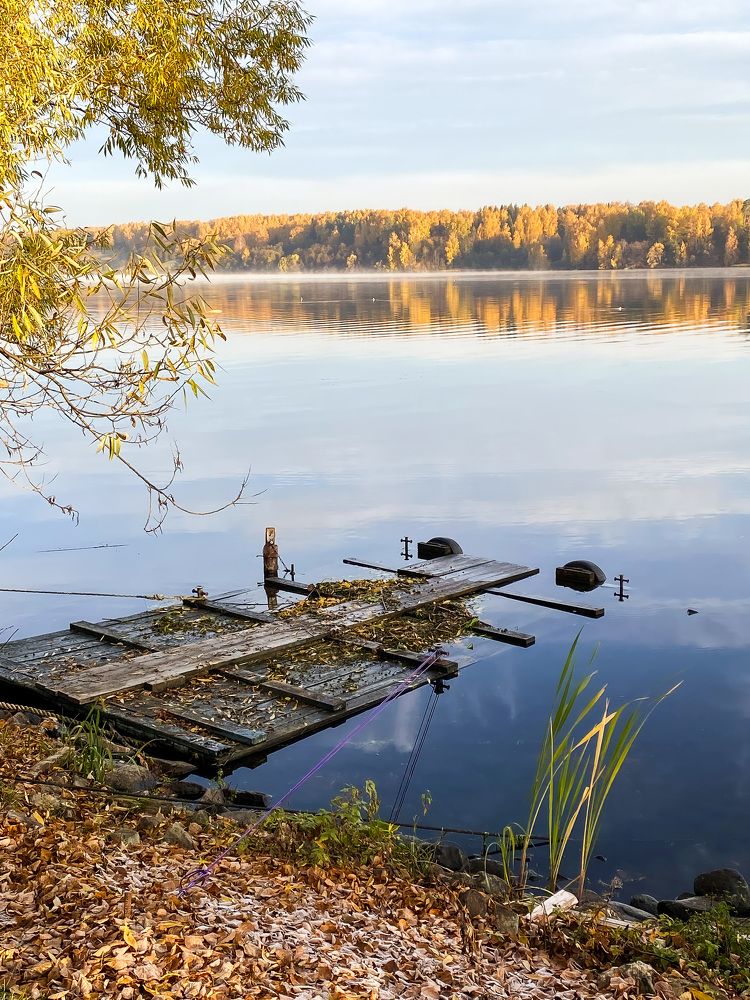 Photograph by Елена Лотник