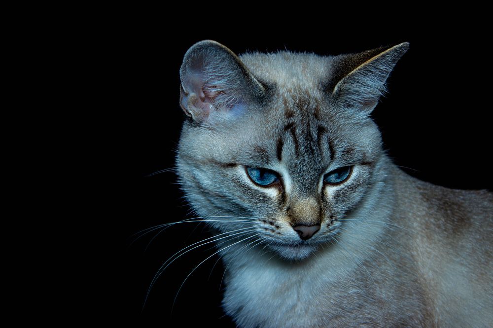 Photograph by Евгения Калугина