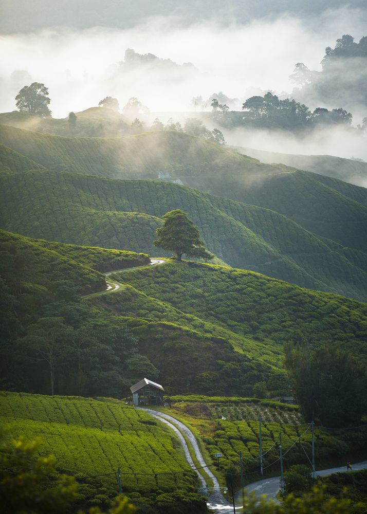 Photograph by Jun Yit Lai