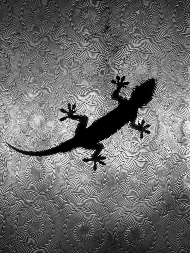 Photograph by Rushikesh Udawant