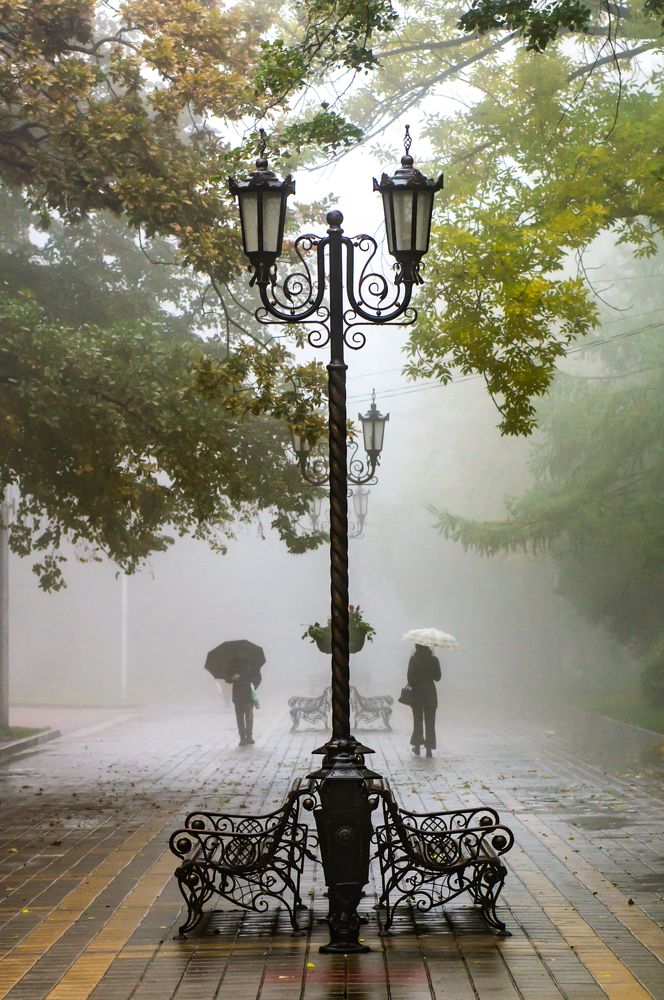 Photograph by 