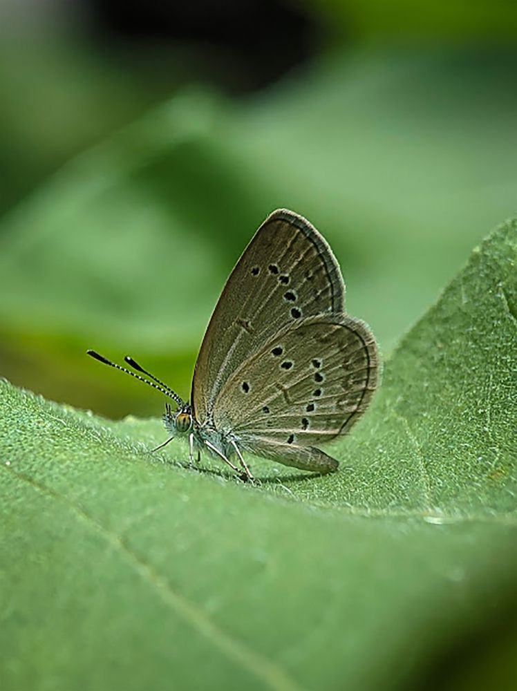 Photograph by Ng Max