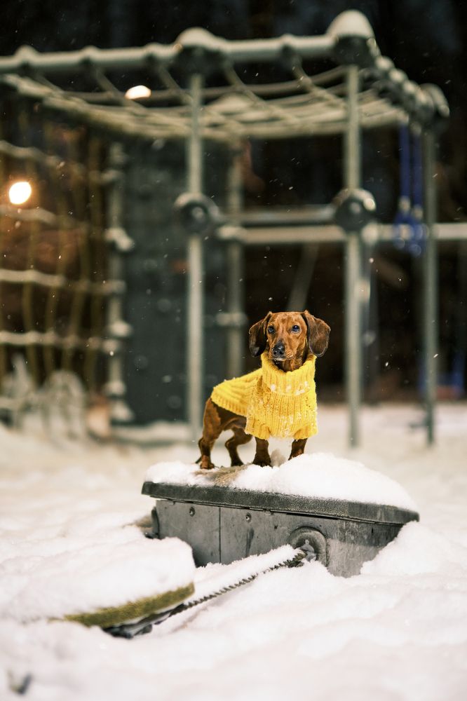 Фотография автора Владимир Эделев