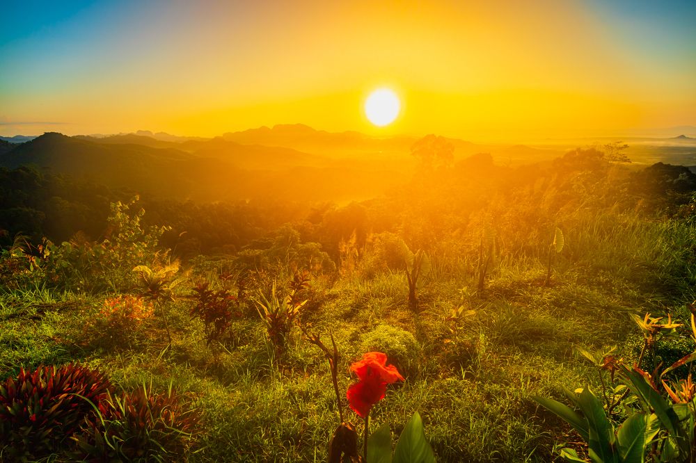 Morning Glory and Sunrise