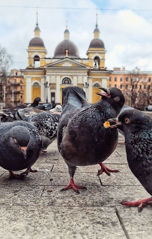 Когда душа поёт