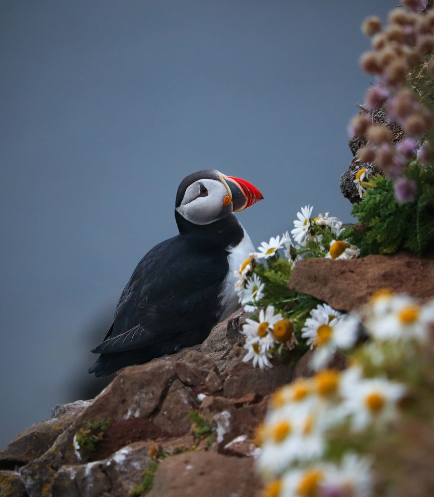 Photograph by Ruzena Bendova